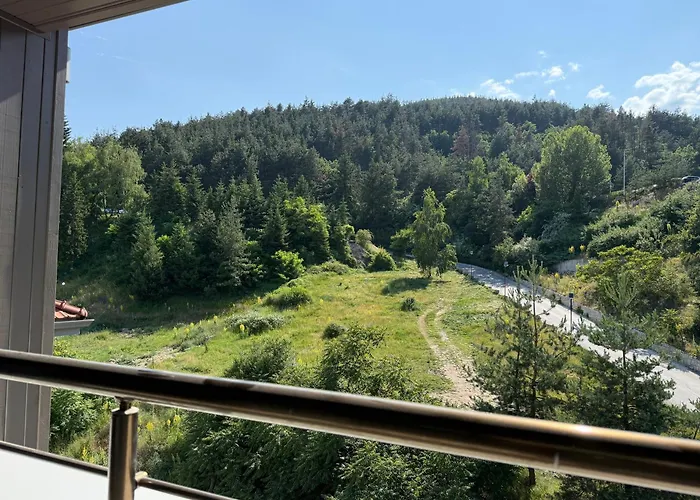 Nikol5 Deluxe Апартаменты *